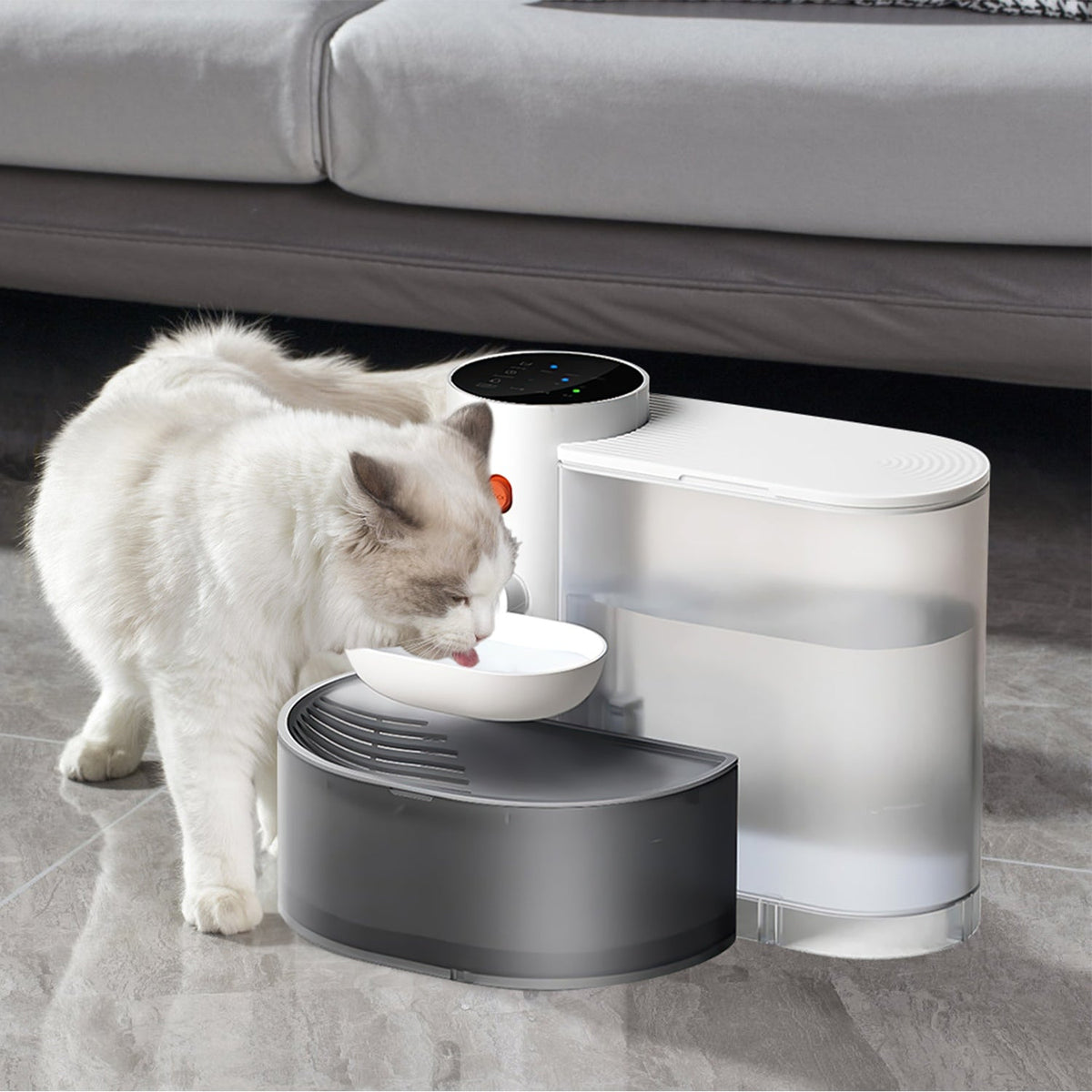 How to Choose a Cat Water Fountain: A Practical Guide