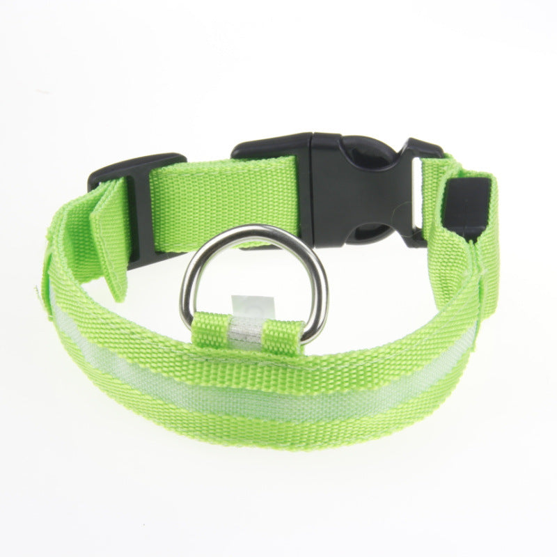 LED Dog Collar – Nighttime Safety