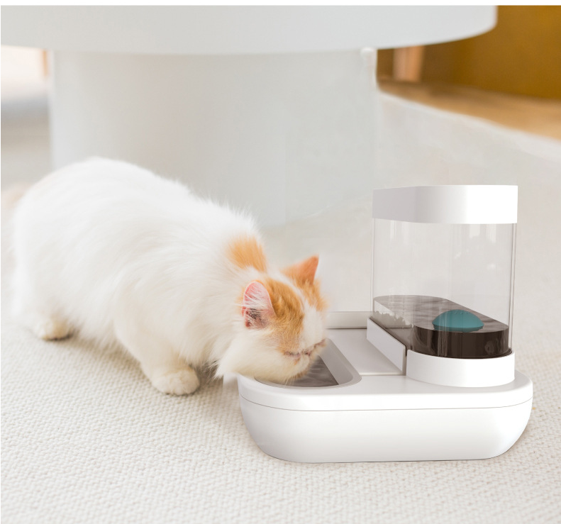Pet Feeder Bowl | Multiple Styles