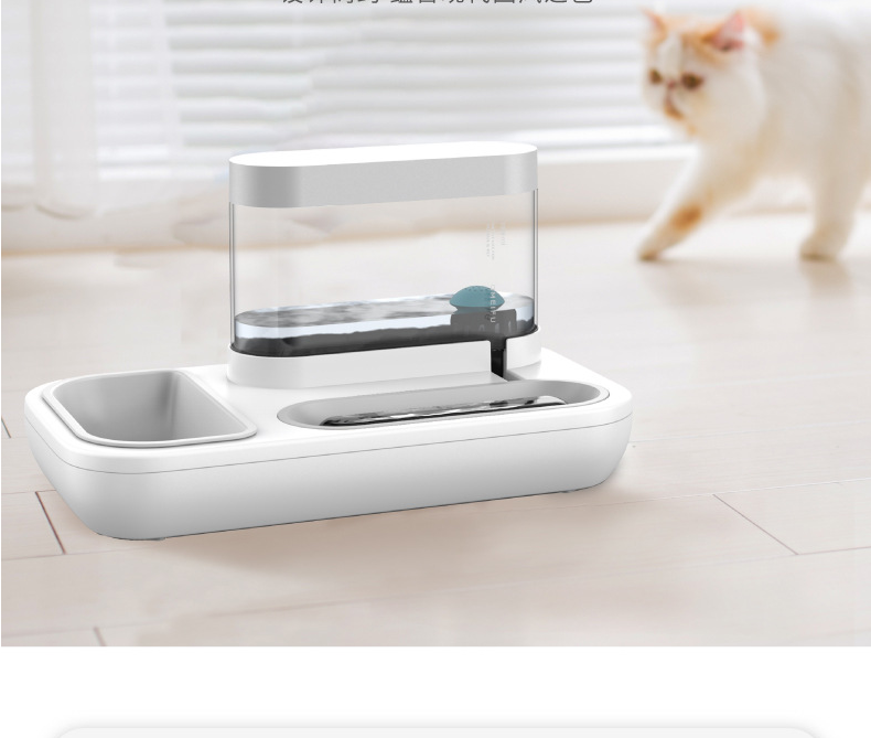 Pet Feeder Bowl | Multiple Styles
