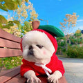 Fruit Dog Hoodie – Cozy Winter Pet Coat - photo 7