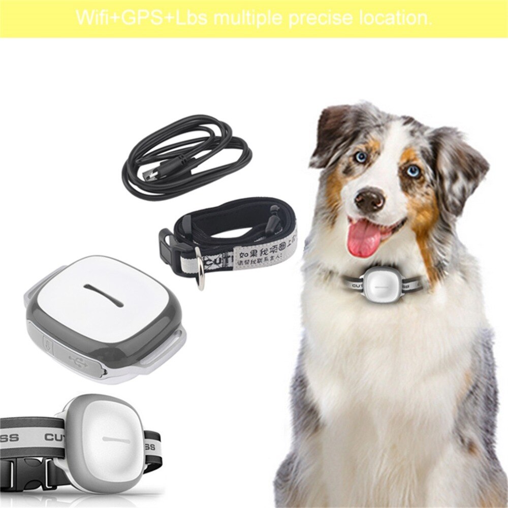 GPS Pet Tracker - Real-Time Location