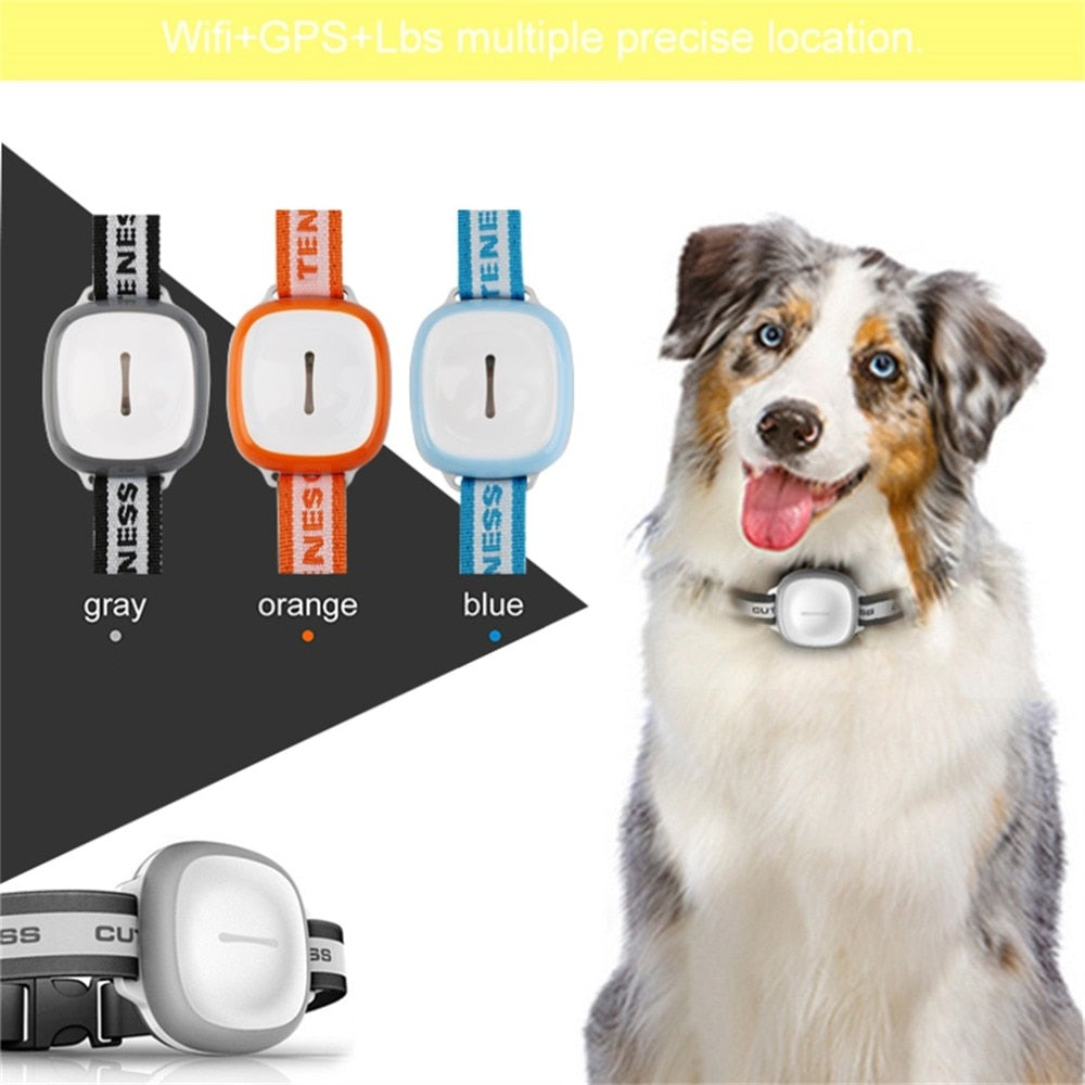 GPS Pet Tracker - Real-Time Location