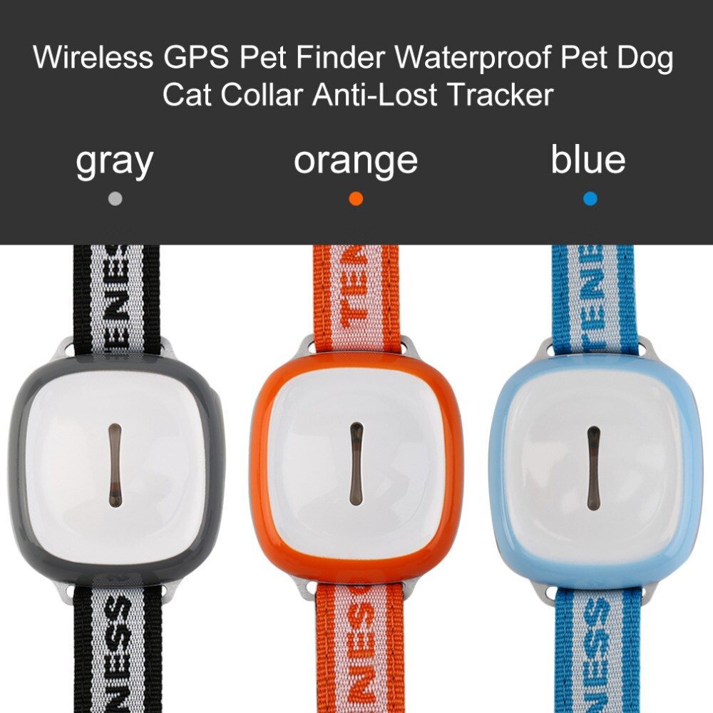 GPS Pet Tracker - Real-Time Location