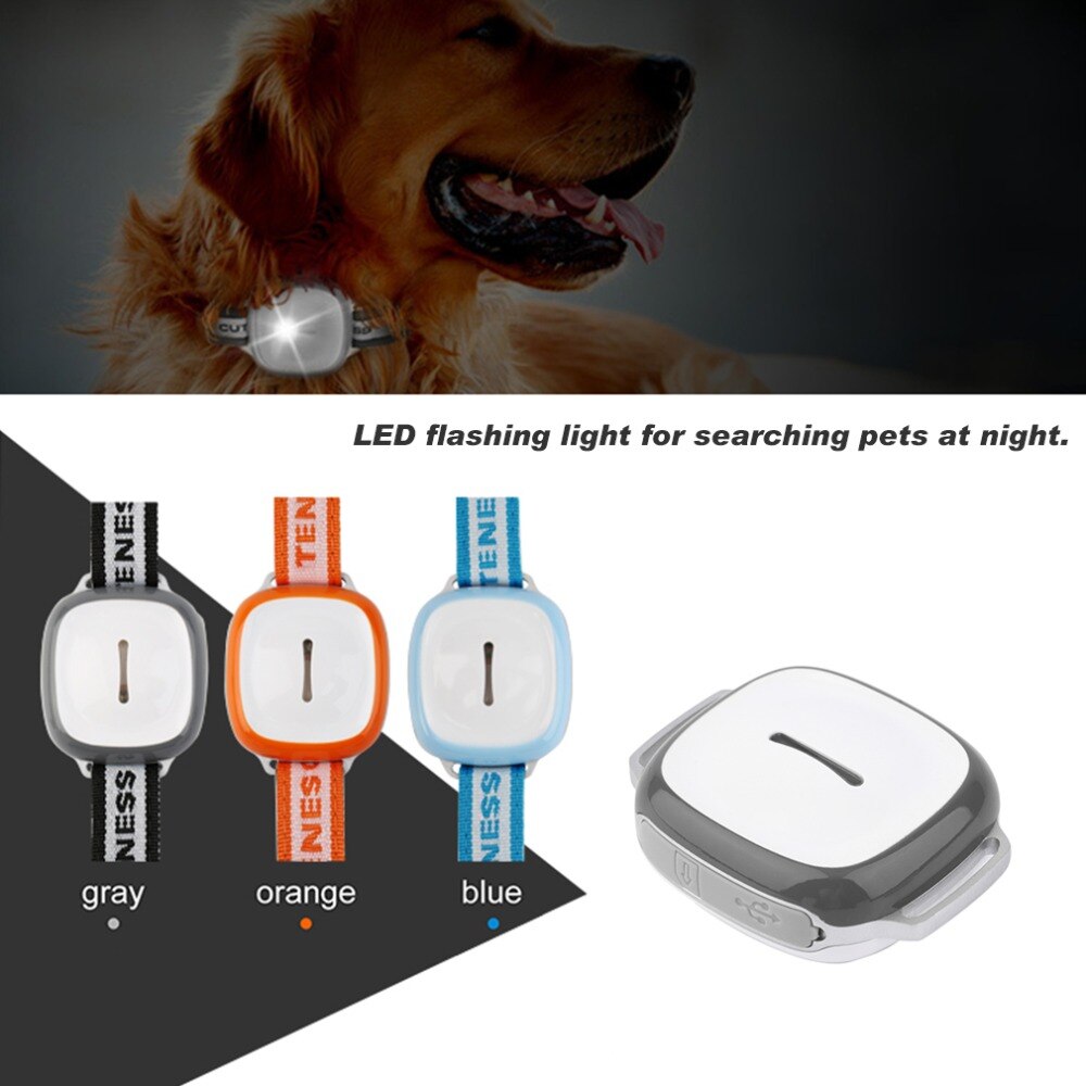 GPS Pet Tracker - Real-Time Location