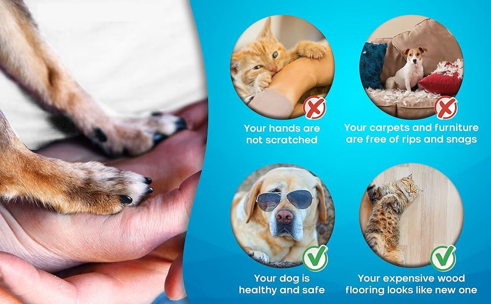 Dog Nail Grinder | Rechargeable Electric Trimmer