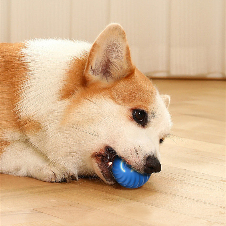 Dog Rubber Ball | Bite-Resistant Toy