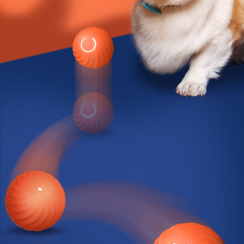 Dog Rubber Ball | Bite-Resistant Toy