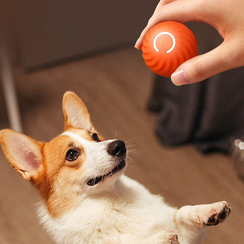 Dog Rubber Ball | Bite-Resistant Toy