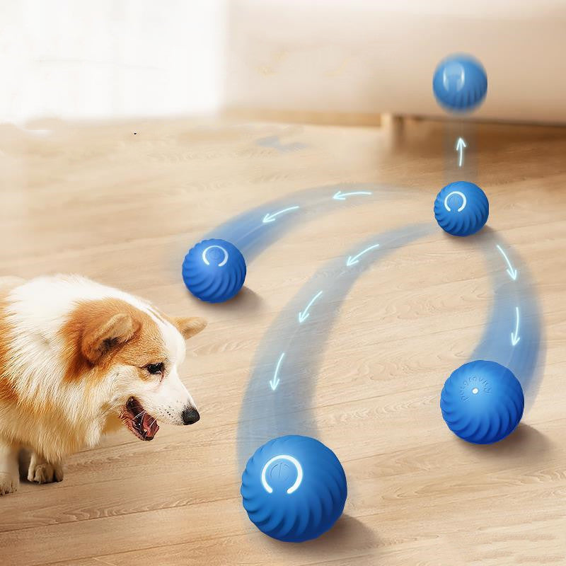 Dog Rubber Ball | Bite-Resistant Toy