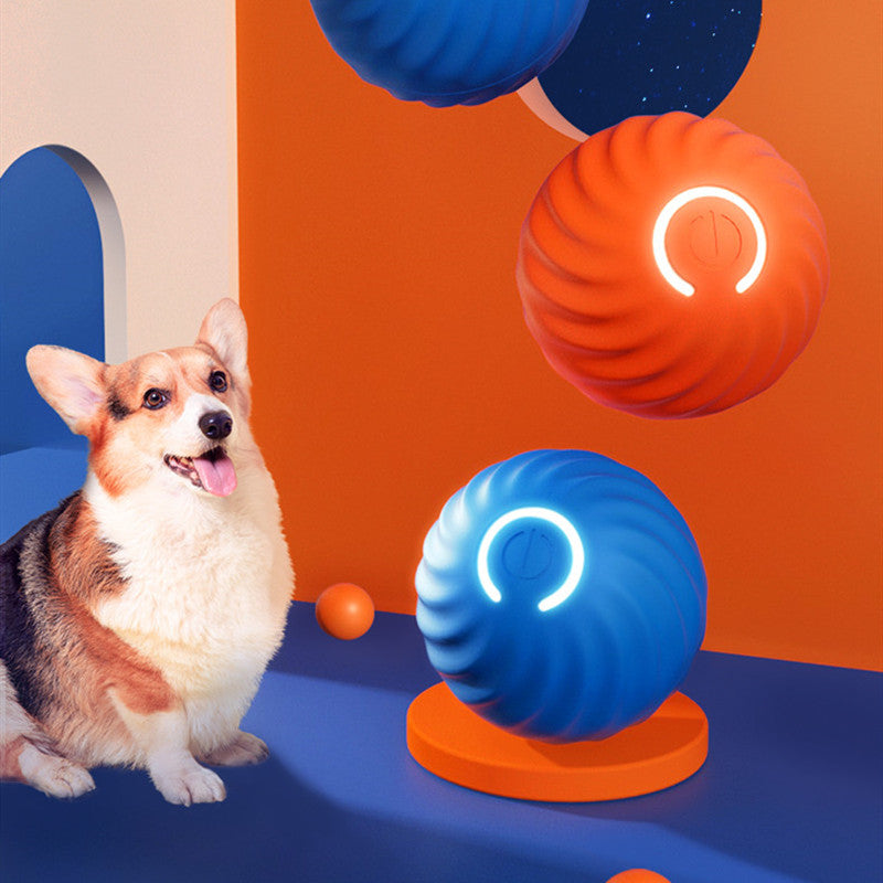 Dog Rubber Ball | Bite-Resistant Toy