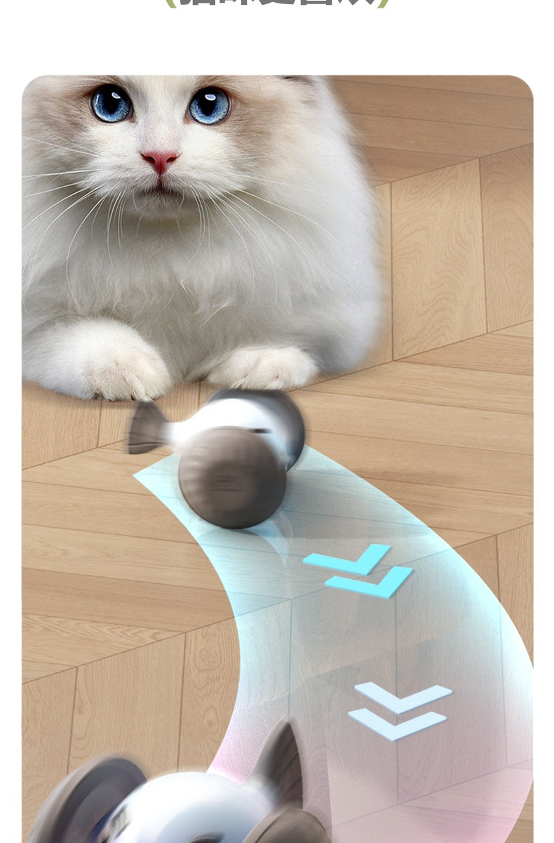 Electric Rolling Pet Toy Car | Interactive Play
