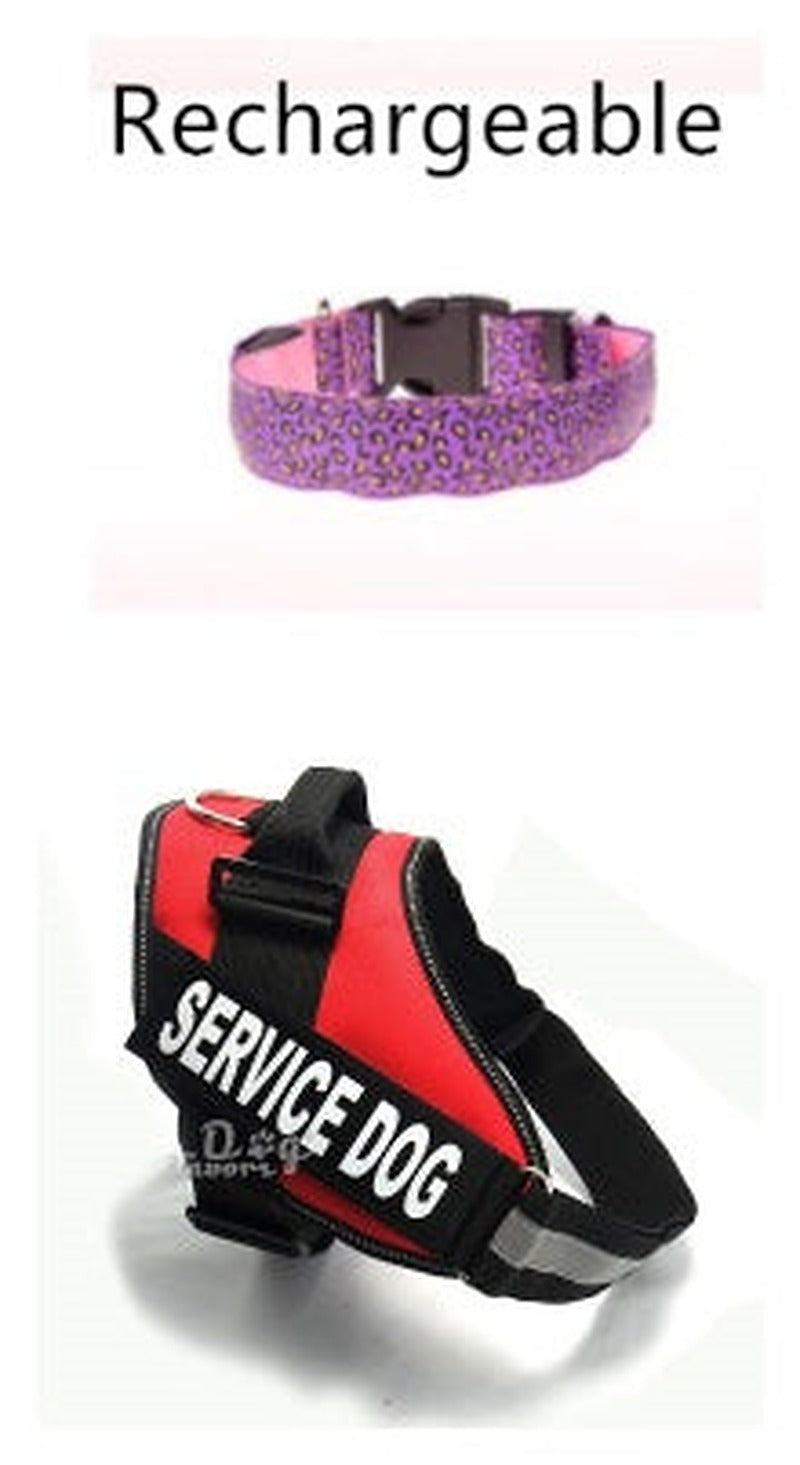 LED Dog Collar - Adjustable & Glowing Safe — view 15