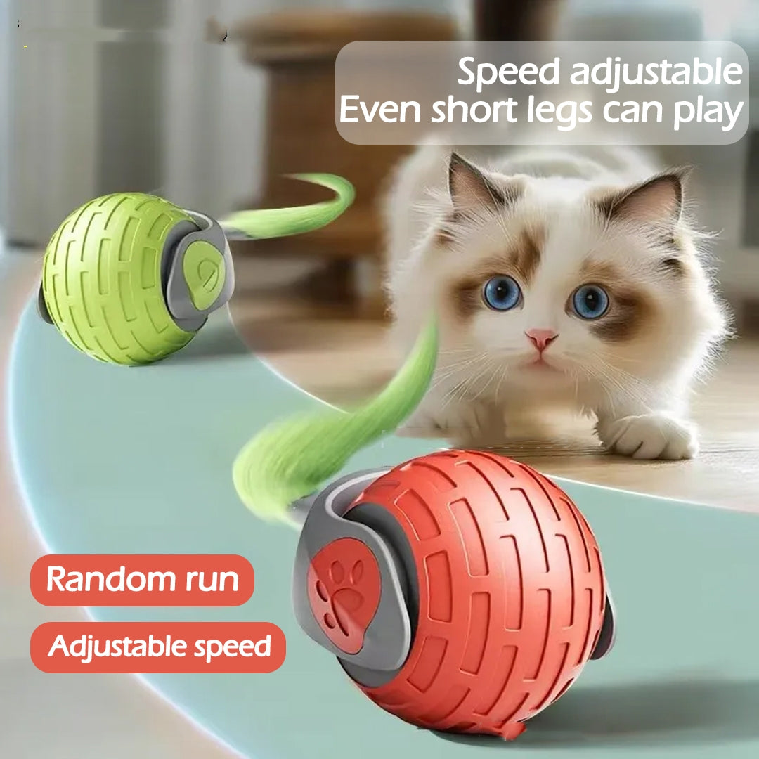 Interactive Auto-Rolling Cat Toy, USB Rechargeable - photo 1