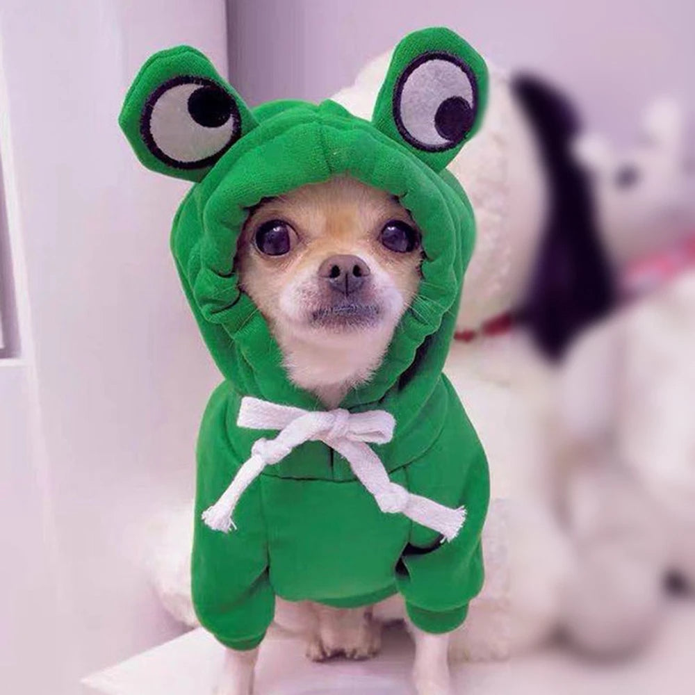 Fruit Dog Hoodie – Cozy Winter Pet Coat - photo 20