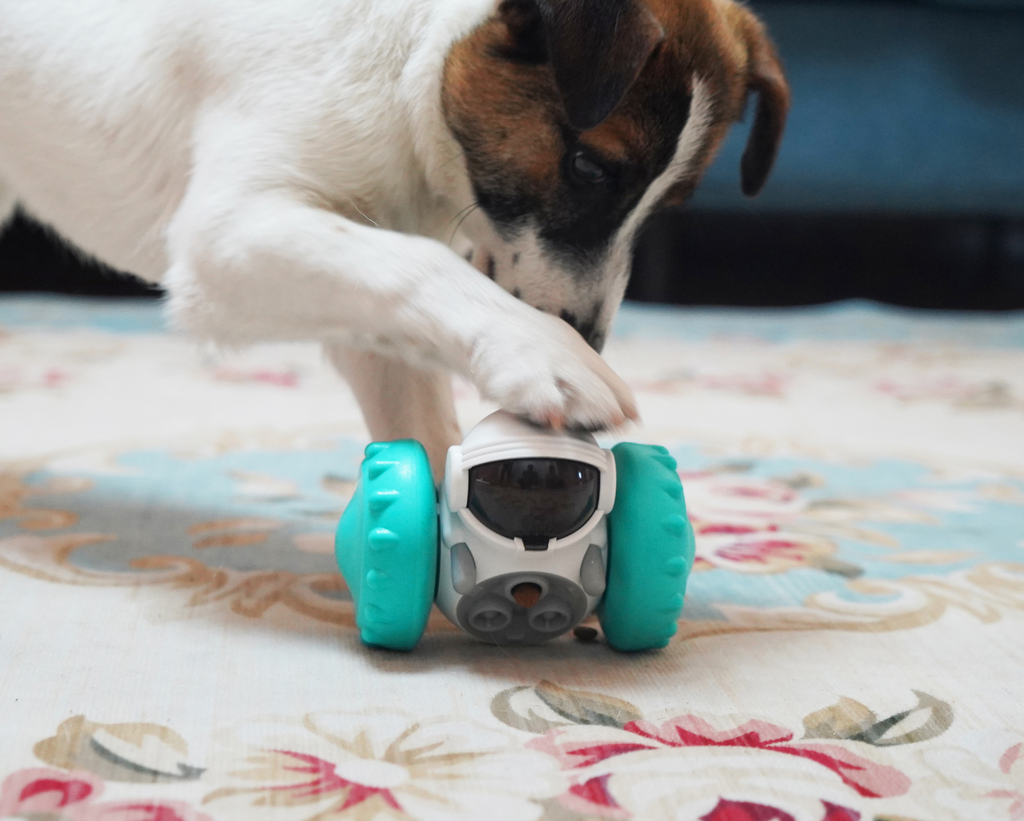 Interactive Slow Feed Pet Bowl