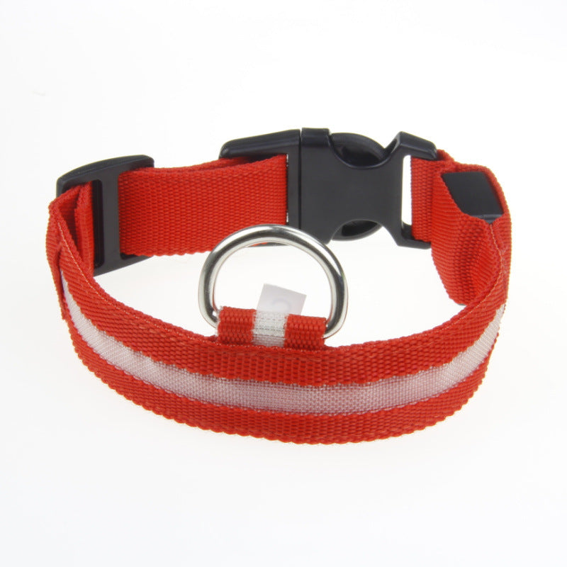 LED Dog Collar – Nighttime Safety