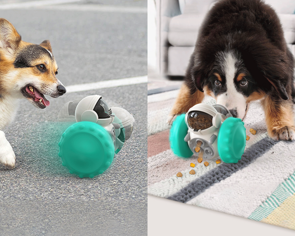 Interactive Slow Feed Pet Bowl