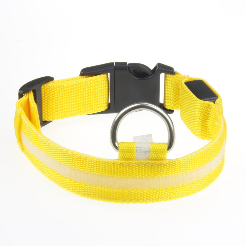 LED Dog Collar – Nighttime Safety