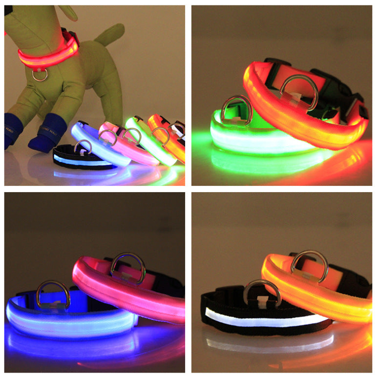 LED Dog Collar – Nighttime Safety