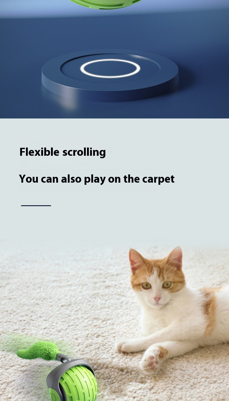 Interactive Auto-Rolling Cat Toy, USB Rechargeable - photo 18