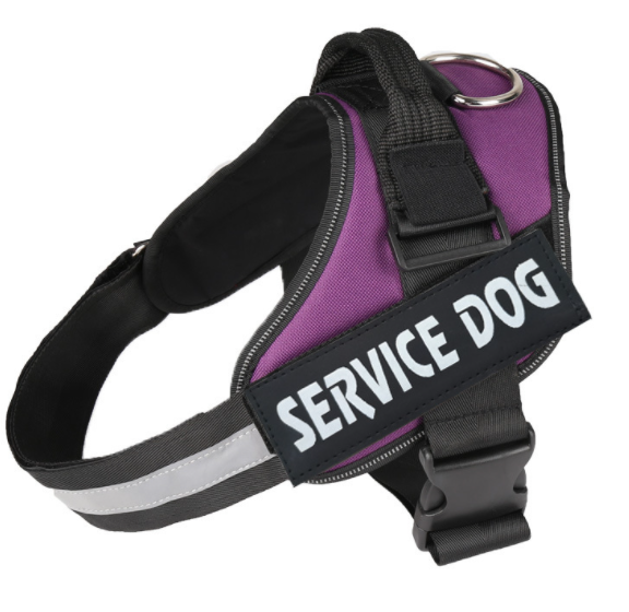 Dog Harness | No-Pull Reflective Design