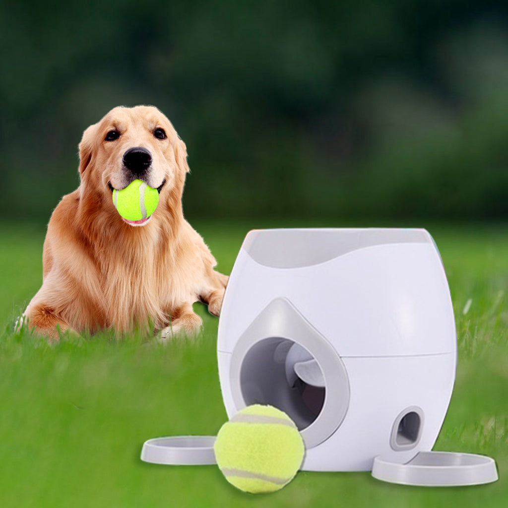 Automatic Pet Feeder with Interactive Toy
