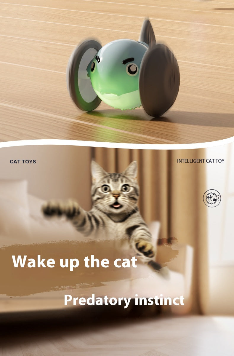 Electric Rolling Pet Toy Car | Interactive Play