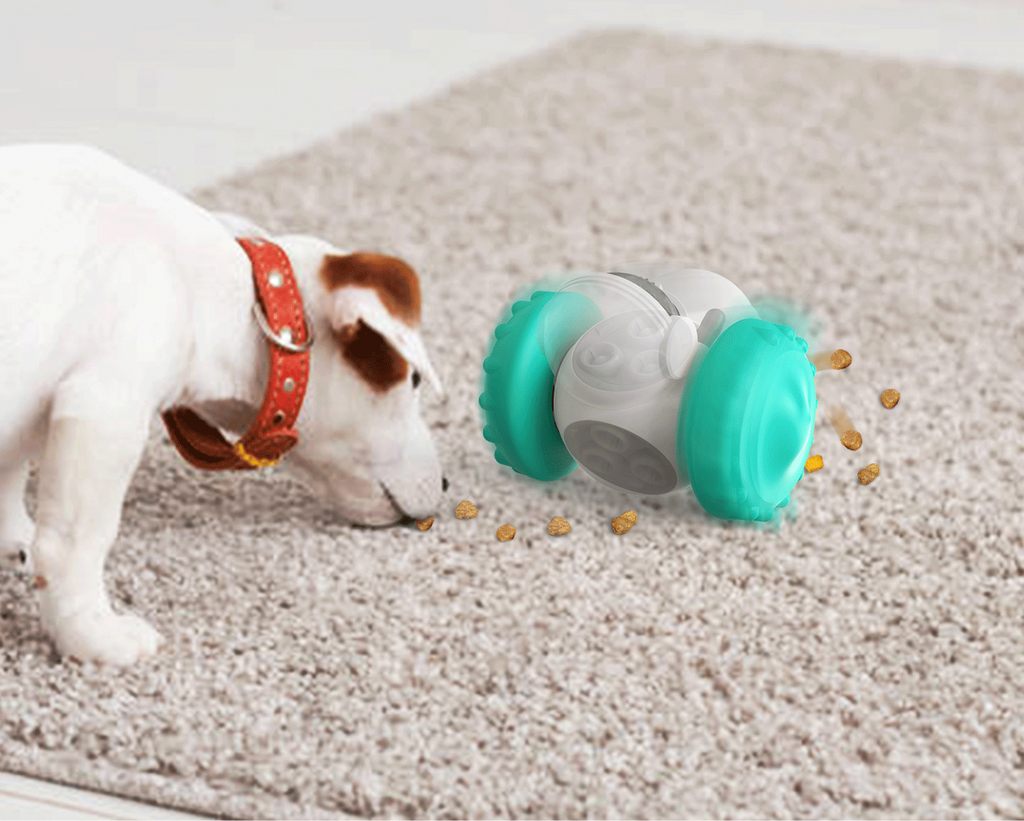 Interactive Slow Feed Pet Bowl