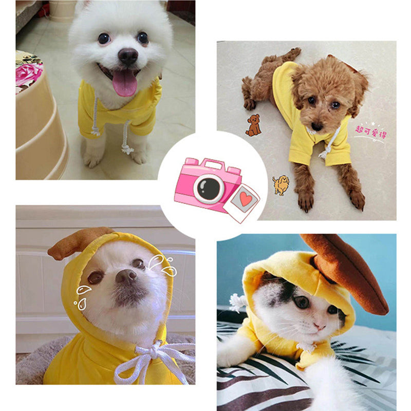 Fruit Dog Hoodie – Cozy Winter Pet Coat - photo 8