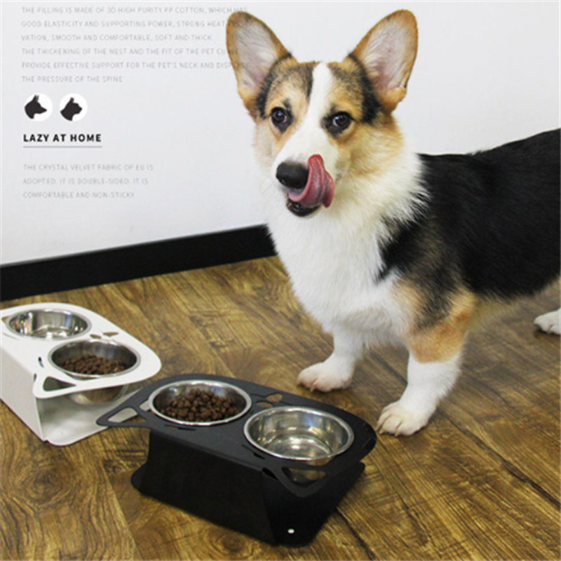 Non-Slip Pet Feeding Bowl