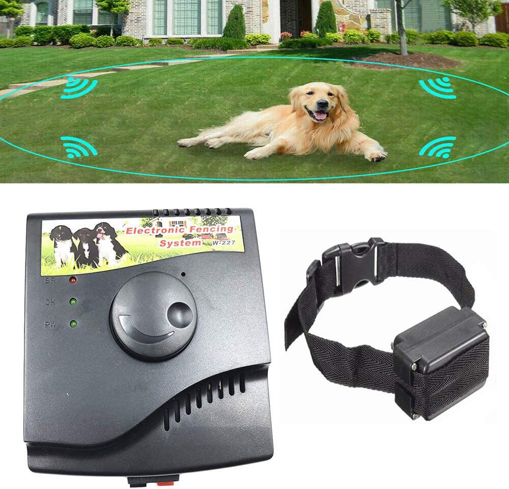Smart Dog Collar | Bark Control Training