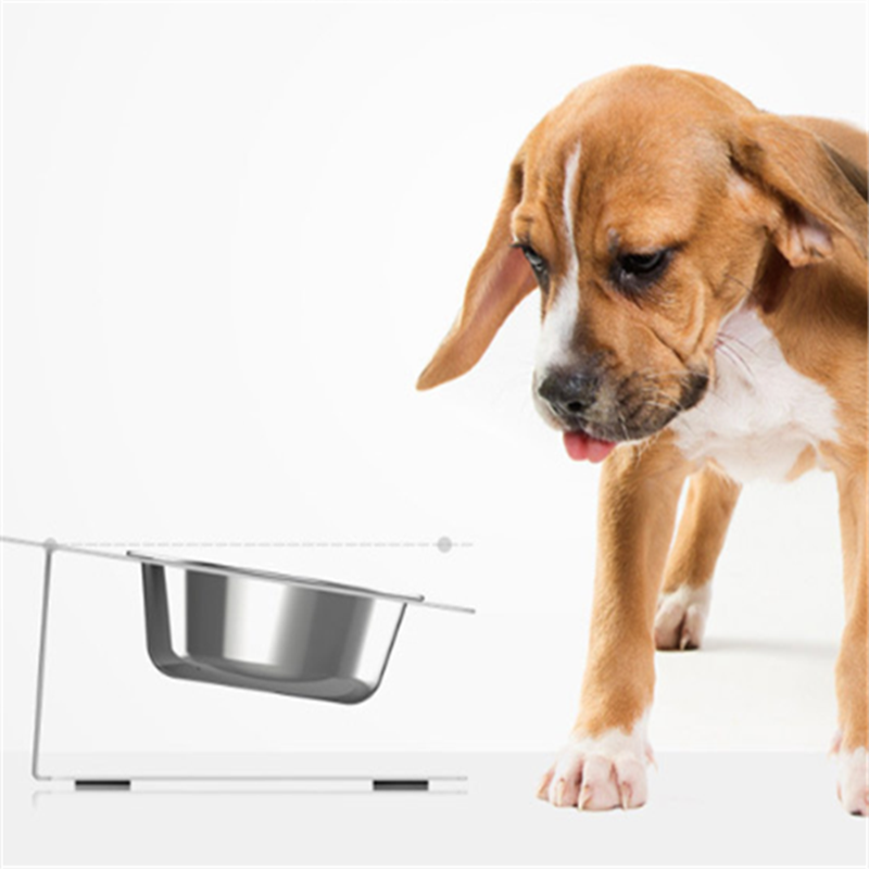 Non-Slip Pet Feeding Bowl