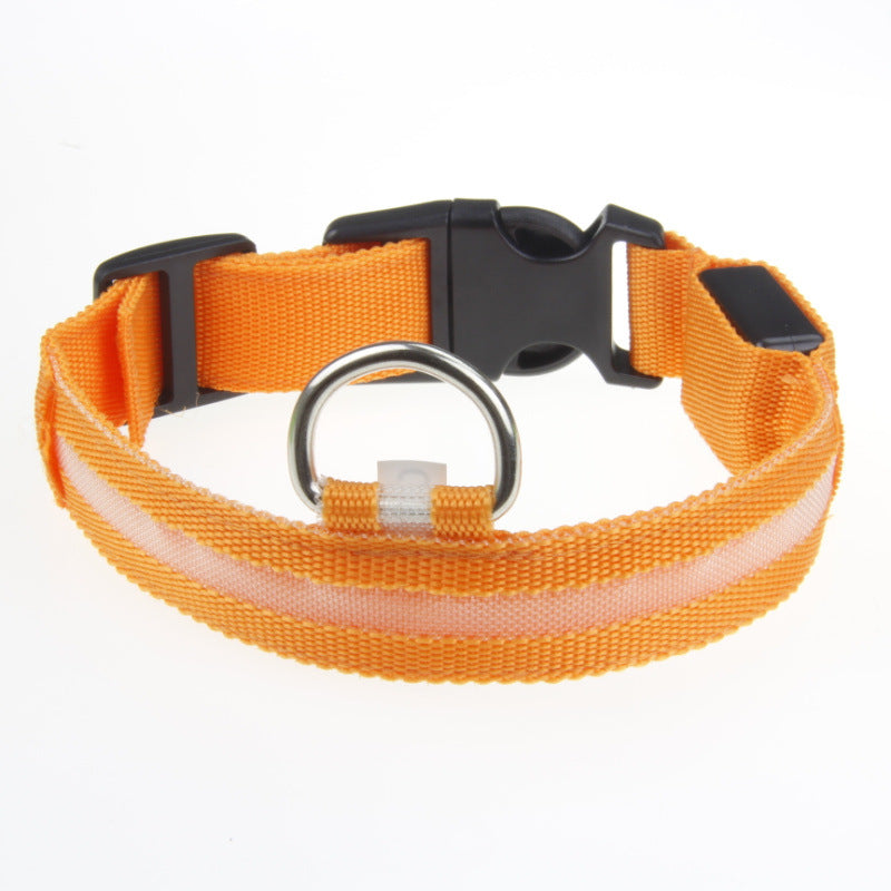 LED Dog Collar – Nighttime Safety