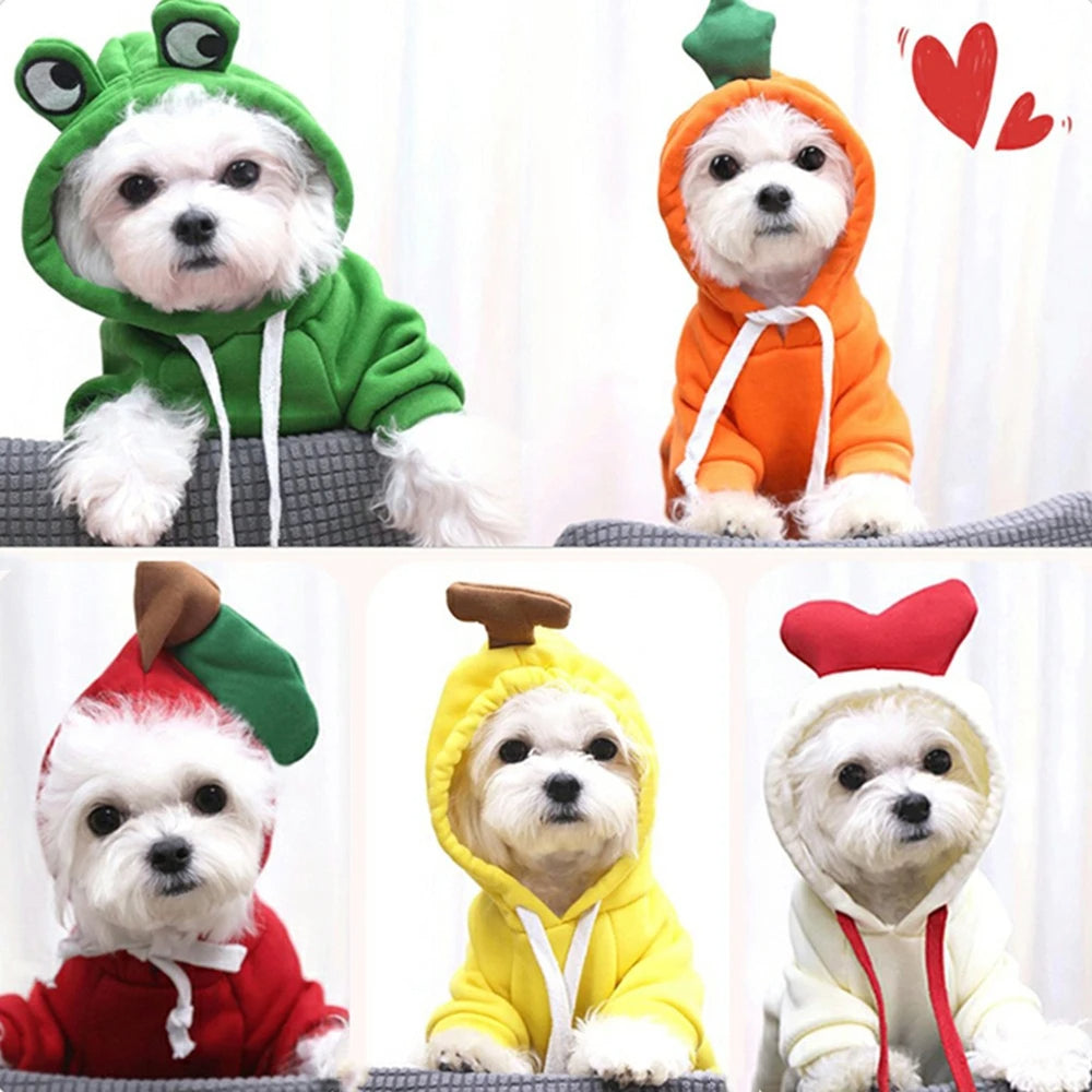 Fruit Dog Hoodie – Cozy Winter Pet Coat - photo 17