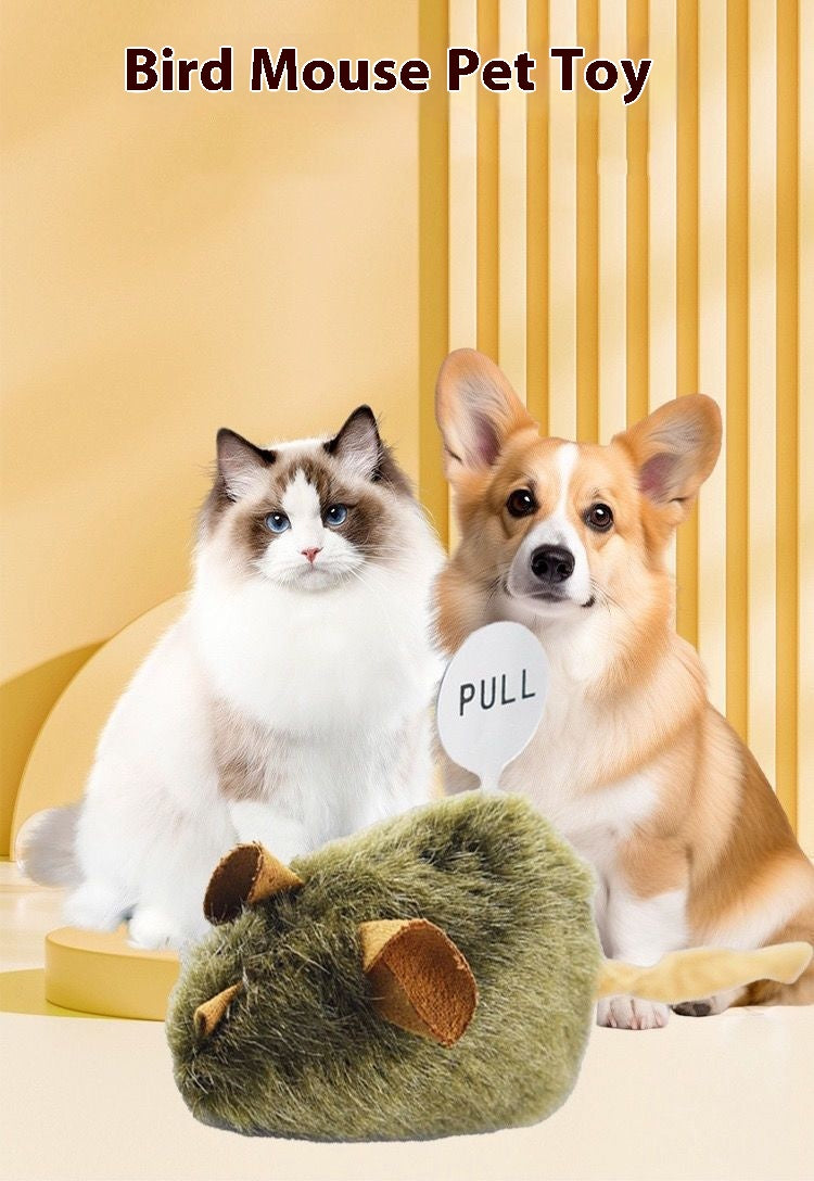 Plush Squeaking Mouse Cat Toy for Playful Cats - photo 9
