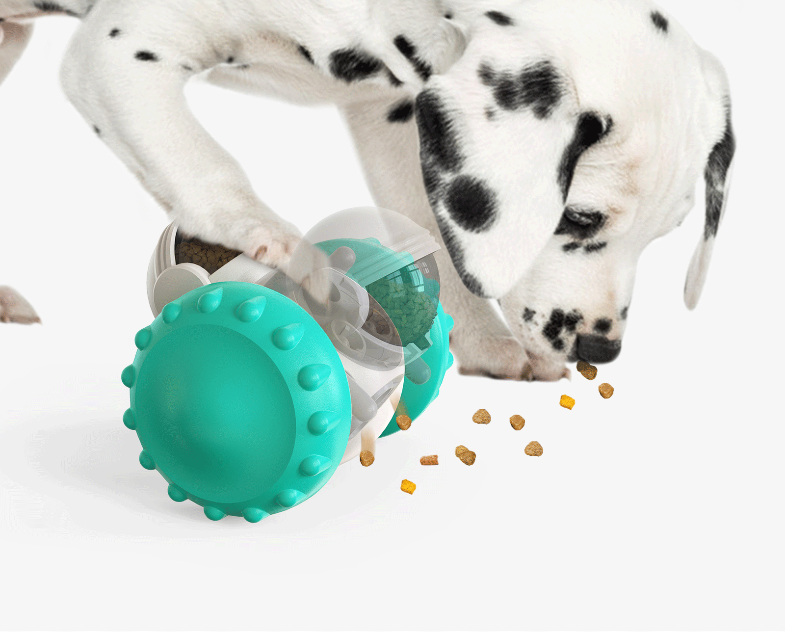 Interactive Slow Feed Pet Bowl