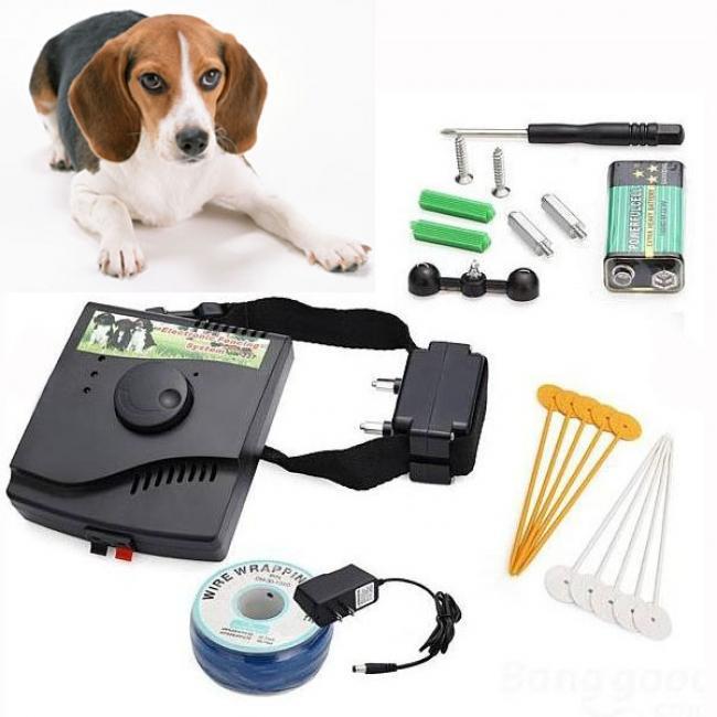 Smart Dog Collar | Bark Control Training