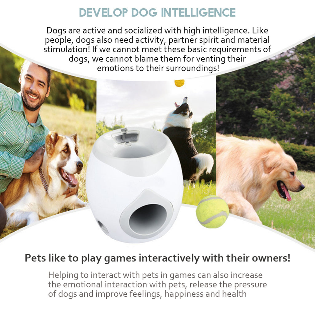 Automatic Pet Feeder with Interactive Toy