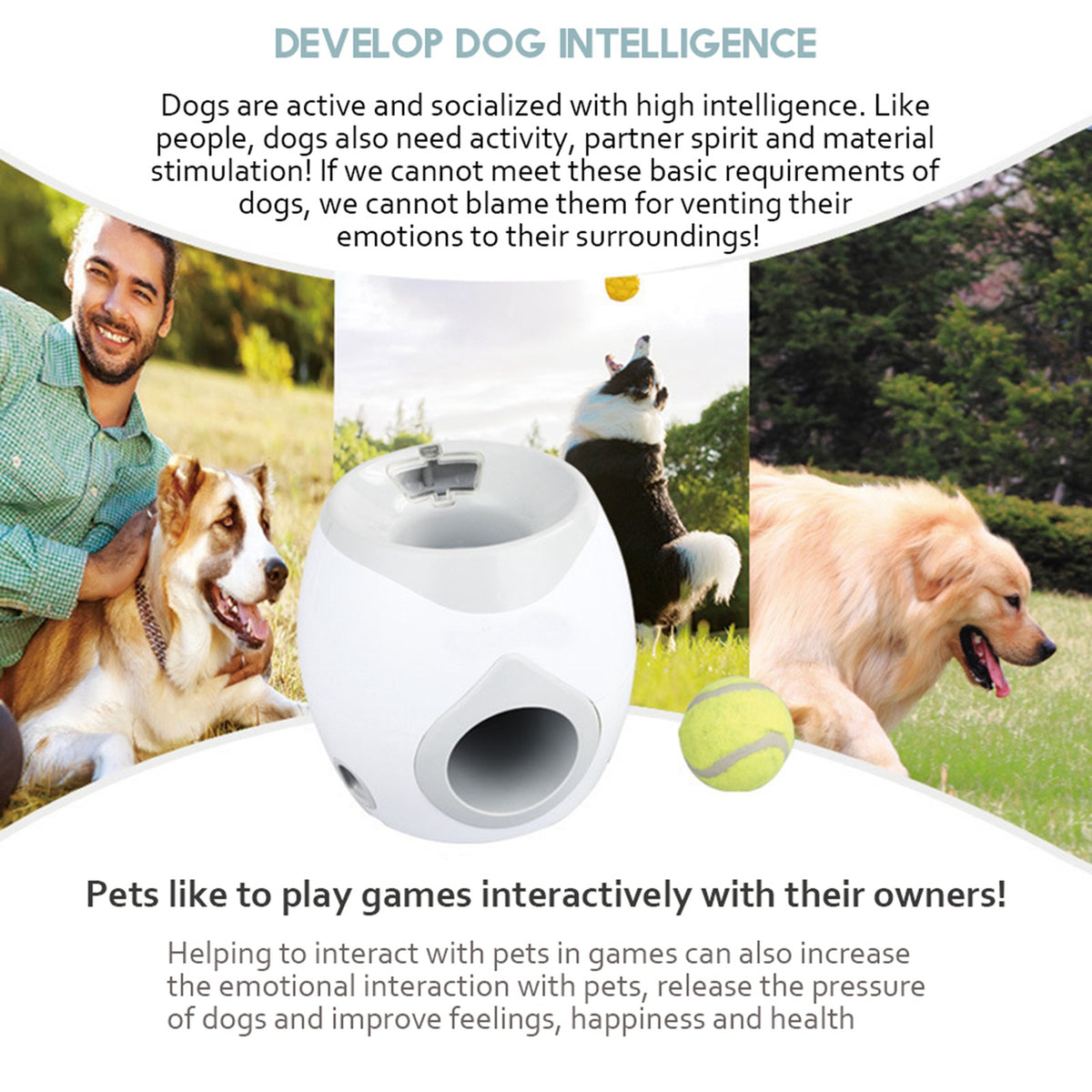 Automatic Pet Feeder with Interactive Toy
