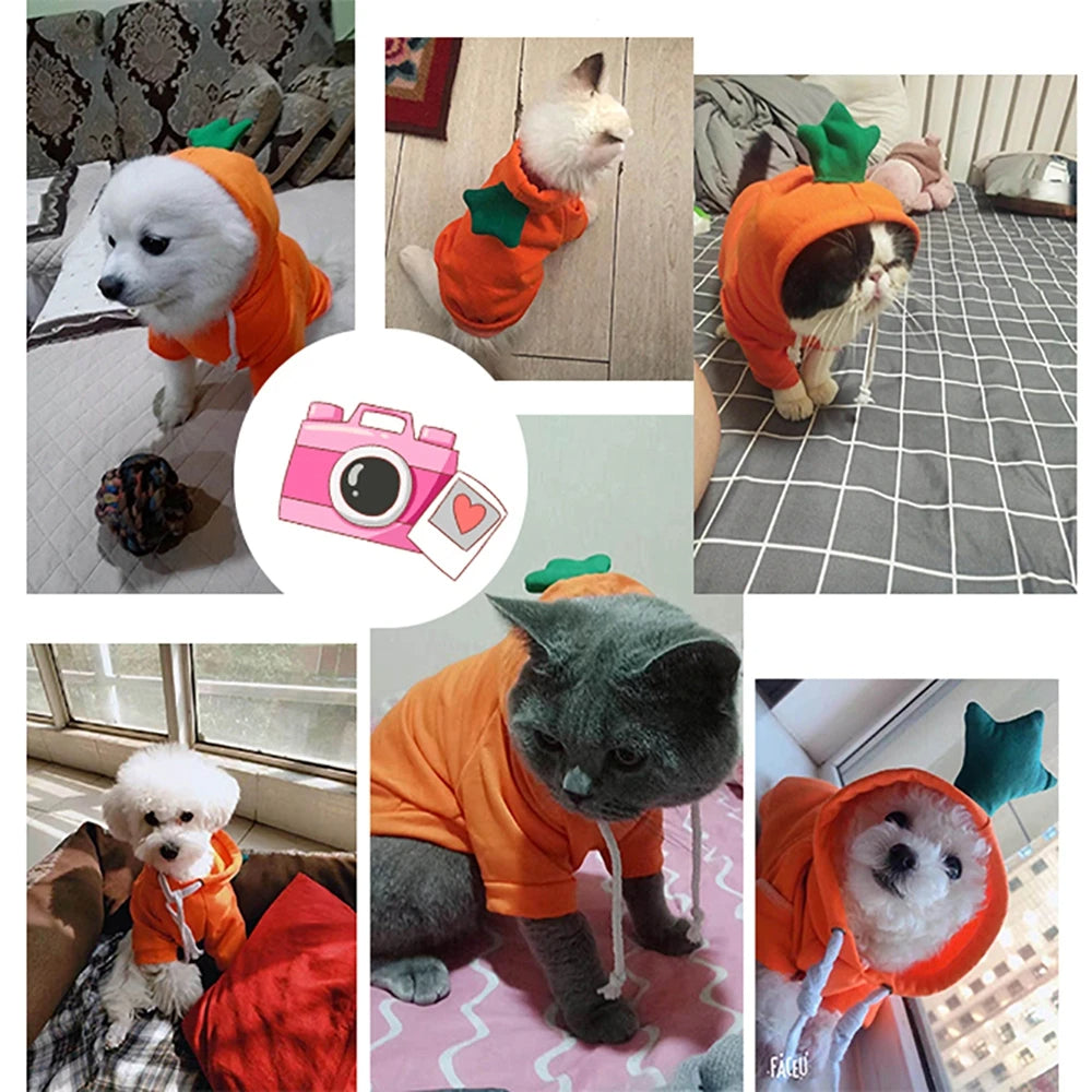Fruit Dog Hoodie – Cozy Winter Pet Coat - photo 16