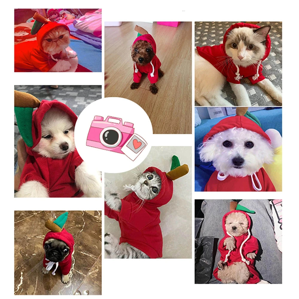 Fruit Dog Hoodie – Cozy Winter Pet Coat - photo 18